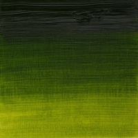 Winsor & Newton Artists' Oil Colour 37ml - Sap Green
