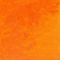 Winsor & Newton Winton Oil Colour 200ml -  Cadmium Orange Hue