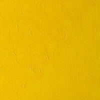 Winsor & Newton Winton Oil Colour 200ml -  Cadmium Yellow Pale Hue