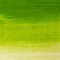 Winsor & Newton Winton Oil Colour 200ml -  Chrome Green Hue