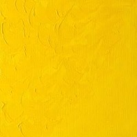 Winsor & Newton Winton Oil Colour 200ml -  Chrome Yellow Hue (164)