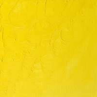 Winsor & Newton Winton Oil Colour 200ml -  Lemon Yellow Hue