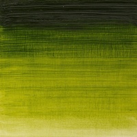 Winsor & Newton Winton Oil Colour 200ml -  Sap Green