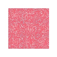 PEARL EX PIGMENT 3gm ROSE GOLD 694