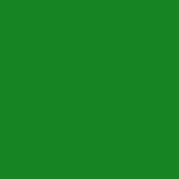 Prismacolour Pencil - Dark Green (908)