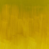 Winsor & Newton Winton Oil Colour 37ml - Azo Yellow Green