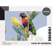 REEVES PBN 12x16" LORIKEET