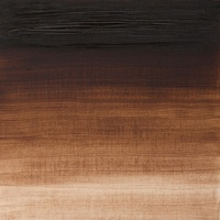 Winsor & Newton Artists' Oil Colour 37ml - Vandyke Brown
