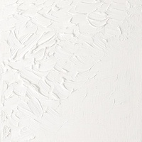 W&N Artists' Oil Colour 37ml - Titanium White (Series 1)