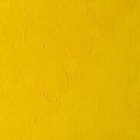 Winsor & Newton Winton Oil Colour 37ml - Cadmium Yellow Pale Hue     