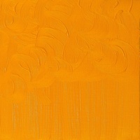 Winsor & Newton Winton Oil Colour 37ml - Cadmium Yellow Hue