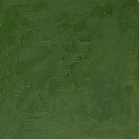 Winsor & Newton Winton Oil Colour 37ml - Oxide of Chromium