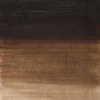 Winsor & Newton Winton Oil Colour 37ml - Raw Umber