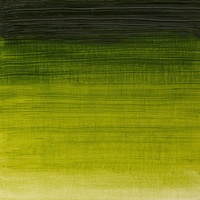 Winsor & Newton Winton Oil Colour 37ml - Sap Green