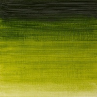 Winsor & Newton Winton Oil Colour 37ml - Sap Green