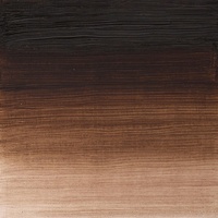 Winsor & Newton Winton Oil Colour 37ml - Vandyke Brown