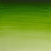 Winsor & Newton Watercolour 5ml - Permanent Sap Green
