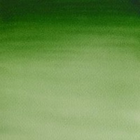 Winsor & Newton Cotman Watercolour 8ml -  Hooker's Green Light