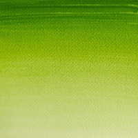 Winsor & Newton Cotman Watercolour 8ml -  Sap Green