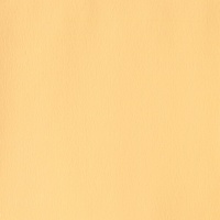 Winsor & Newton Designers' Gouache 14ml - Naples Yellow 