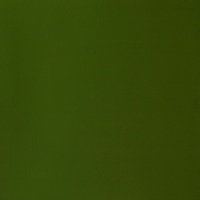 Winsor & Newton Designers' Gouache 14ml - Olive Green 