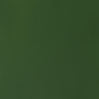 Winsor & Newton Designers' Gouache 14ml - Oxide of Chromium 