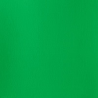 Winsor & Newton Designers' Gouache 14ml - Permt Green Light 