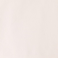 Winsor & Newton Designers' Gouache 14ml - Zinc White 