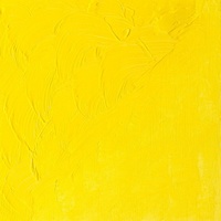 Winsor & Newton Winton Oil Colour 200ml -  Cadmium Lemon Hue