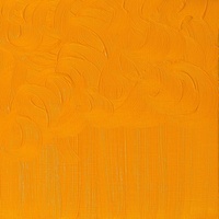 Winsor & Newton Winton Oil Colour 200ml -  Cadmium Yellow Hue