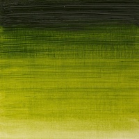 Winsor & Newton Winton Oil Colour 200ml -  Sap Green