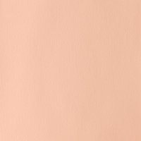 Winsor & Newton Designers' Gouache 14ml - Flesh Tint 