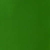 Winsor & Newton Designers' Gouache 14ml - Sap Green 