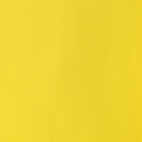 Winsor & Newton Designers' Gouache 14ml - Cadmium Lemon 