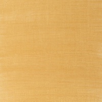 Winsor & Newton Artists' Oil Colour 37ml - Gold