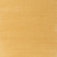 W&N Artists' Oil Colour 37ml - Gold (Series 2)