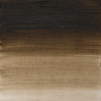 Winsor & Newton Artists' Oil Colour 37ml - Raw Umber (Green Shade)