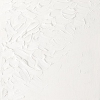 Winsor & Newton Artists' Oil Colour 200ml - Titanium White