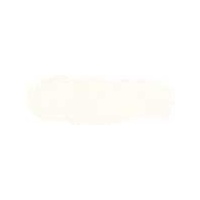 ART SPECTRUM SOFT PASTEL - TITANIUM WHITE P