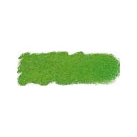 ART SPECTRUM SOFT PASTEL - GRASS GREEN N
