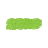 ART SPECTRUM SOFT PASTEL - GRASS GREEN T