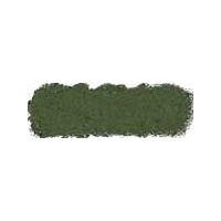 ART SPECTRUM SOFT PASTEL - AUSTRALIAN LEAF GREEN DARK P