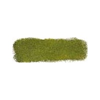 ART SPECTRUM SOFT PASTEL - GREENISH UMBER N