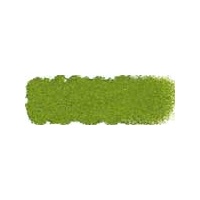 ART SPECTRUM SOFT PASTEL - AUSTRALIAN LEAF GREEN (LT) P