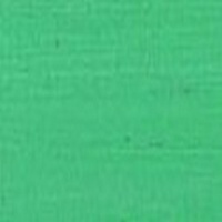 AS OIL 40ML AUSTRALIAN LEAF GREEN BLUE 