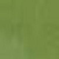 AS OIL 40ML AUSTRALIAN GREEN GREY