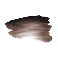 Atelier Artist Acrylic 250ml -  BROWN BLACK
