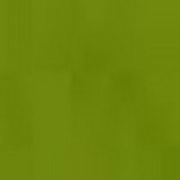 AS OIL 40ML AUSTRALIAN YELLOW GREEN