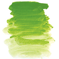 CHROMACRYL STUDENT ACRYLIC 2 Litre - LIGHT GREEN