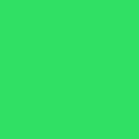 Prismacolour Pencil - Parrot Green (1006)
